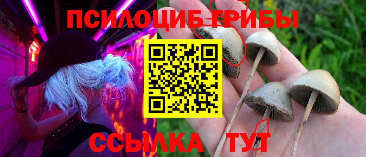 Воркута  Псилоцибиновые грибы Psilocybe  Вход с VPN 